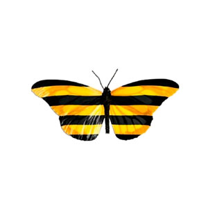� ������� �������