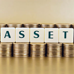 ������ ����� ������������ ���������� ASSETS?