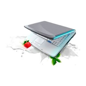 � ����, ������� �������� web�