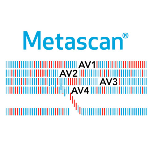 MetaScan - ������� �����������